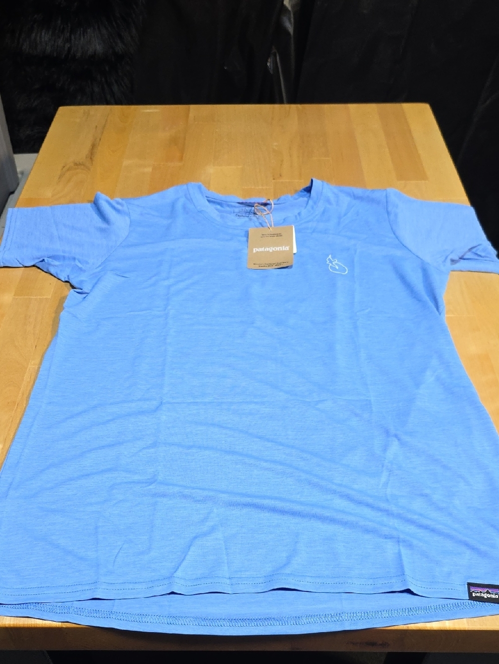 Patagonia Men’s Light Blue Short Sleeve Crew Tee